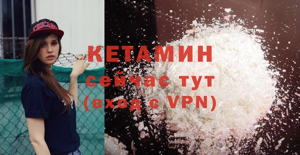 молекула духа Вяземский