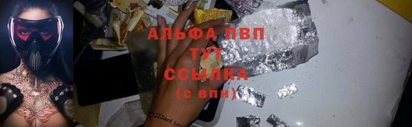 молекула духа Вяземский