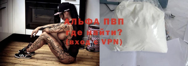 молекула духа Вяземский