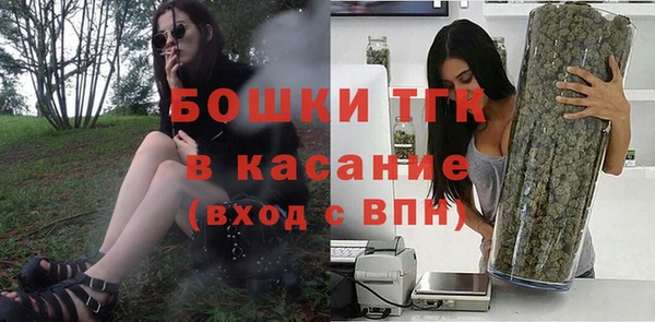 молекула духа Вяземский