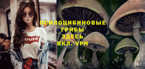 меф Ладушкин