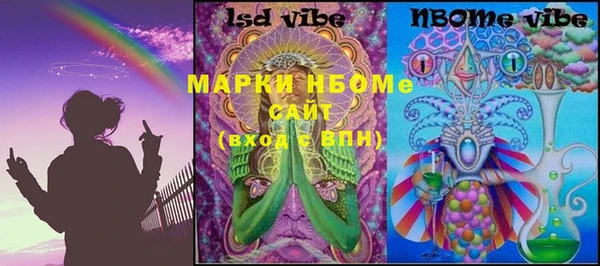 молекула духа Вяземский