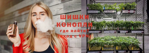 молекула духа Вяземский
