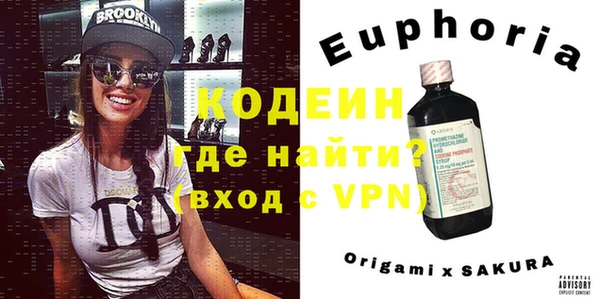 молекула духа Вяземский