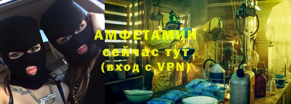 молекула духа Вяземский