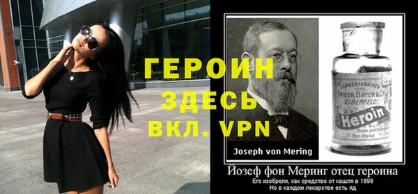 молекула духа Вяземский