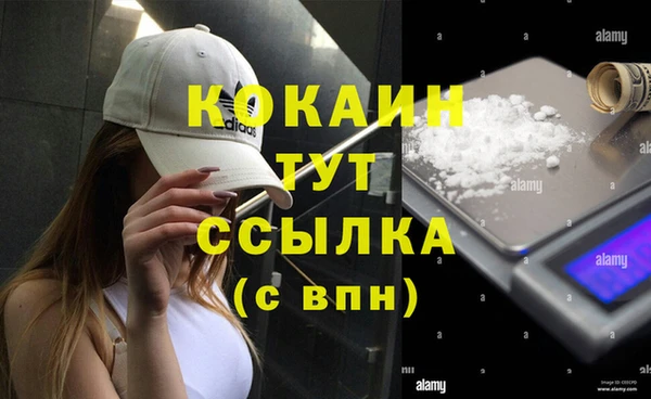 молекула духа Вяземский