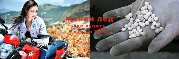 молекула духа Вяземский