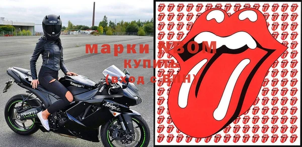 молекула духа Вяземский