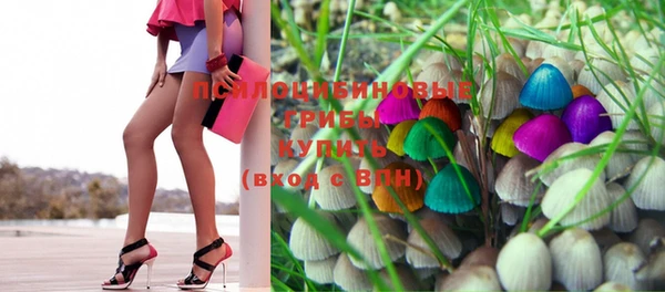 хмурый Вязники