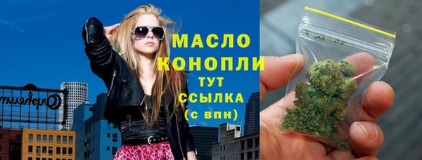 молекула духа Вяземский