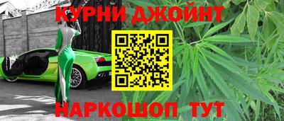 прущие грибы Будённовск