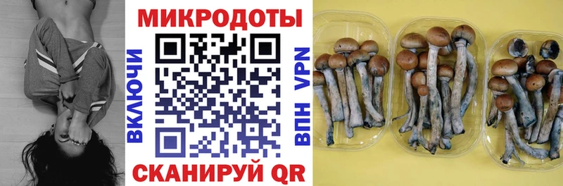 ссылка на мегу как зайти  Десногорск  Галлюциногенные грибы ЛСД  где купить наркоту 