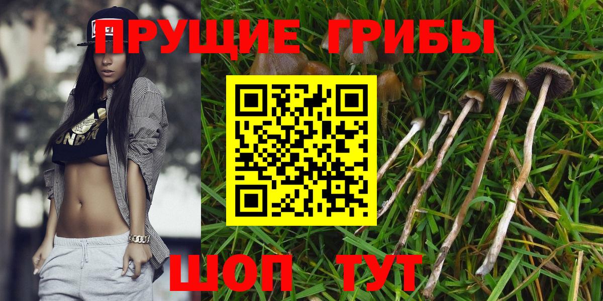 Галлюциногенные грибы Magic Shrooms Десногорск