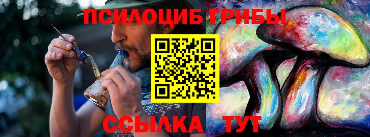 даркнет сайт  Галлюциногенные грибы мицелий  Десногорск  Псилоцибиновые грибы мицелий 