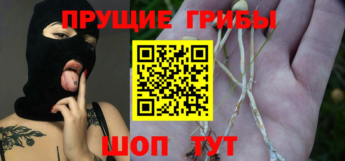 Псилоцибиновые грибы Magic Shrooms Десногорск